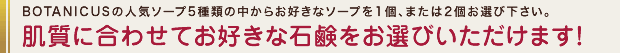 BOTANICUSの人気ソープ5種類の中からお好きなソープを1個、または2個お選び下さい。　肌質に合わせてお好きな石鹸をお選び頂けます！